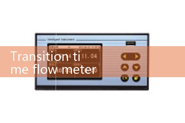 transit time flow meter
